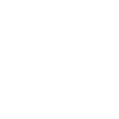 Mente en Movimiento